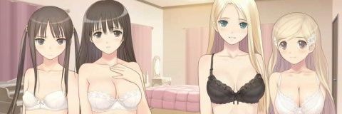 haremnushi's profile banner image