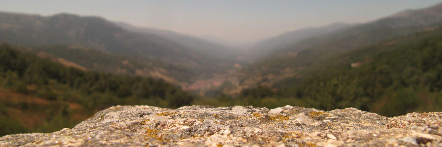 AleRodri_94's profile banner image
