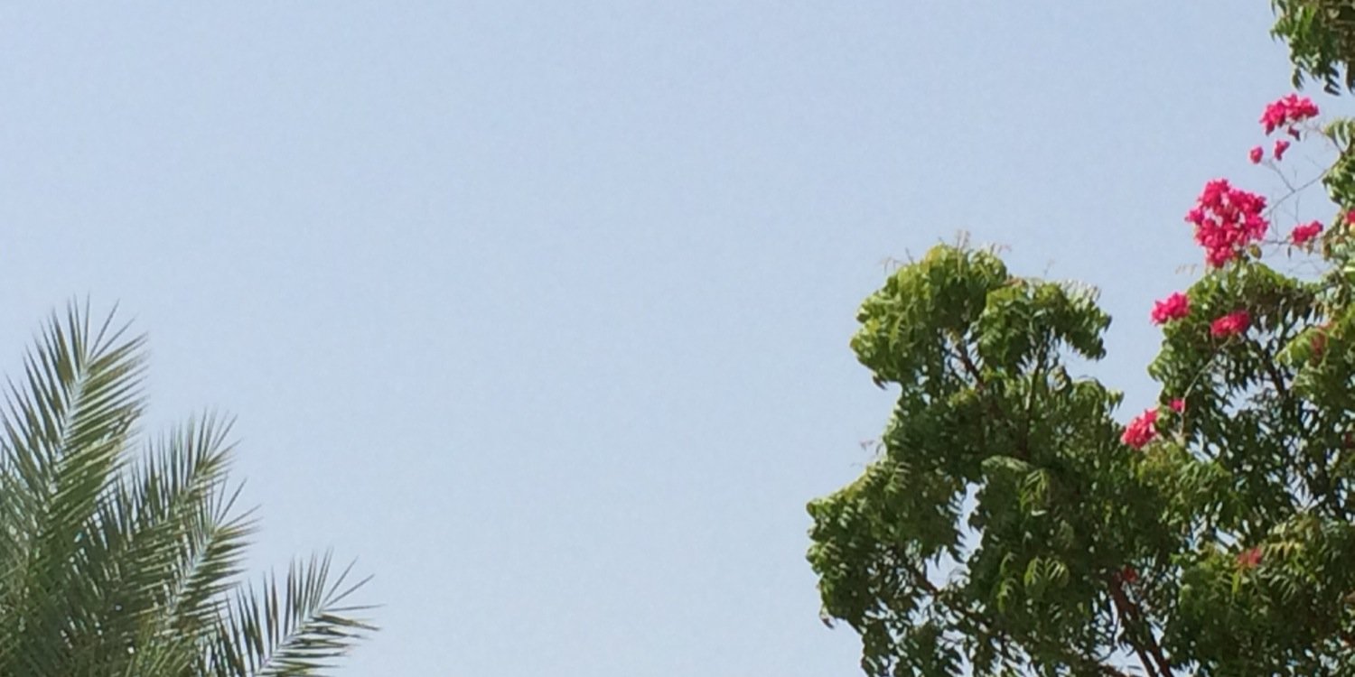marhoon511's profile banner image