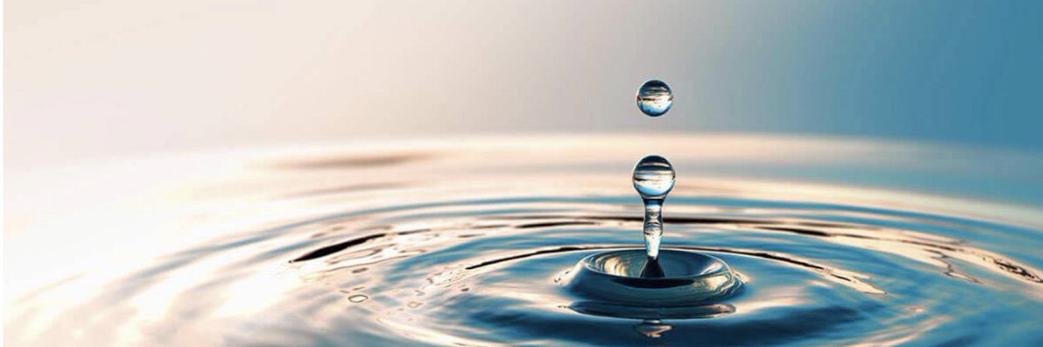 Helen Schneider banner