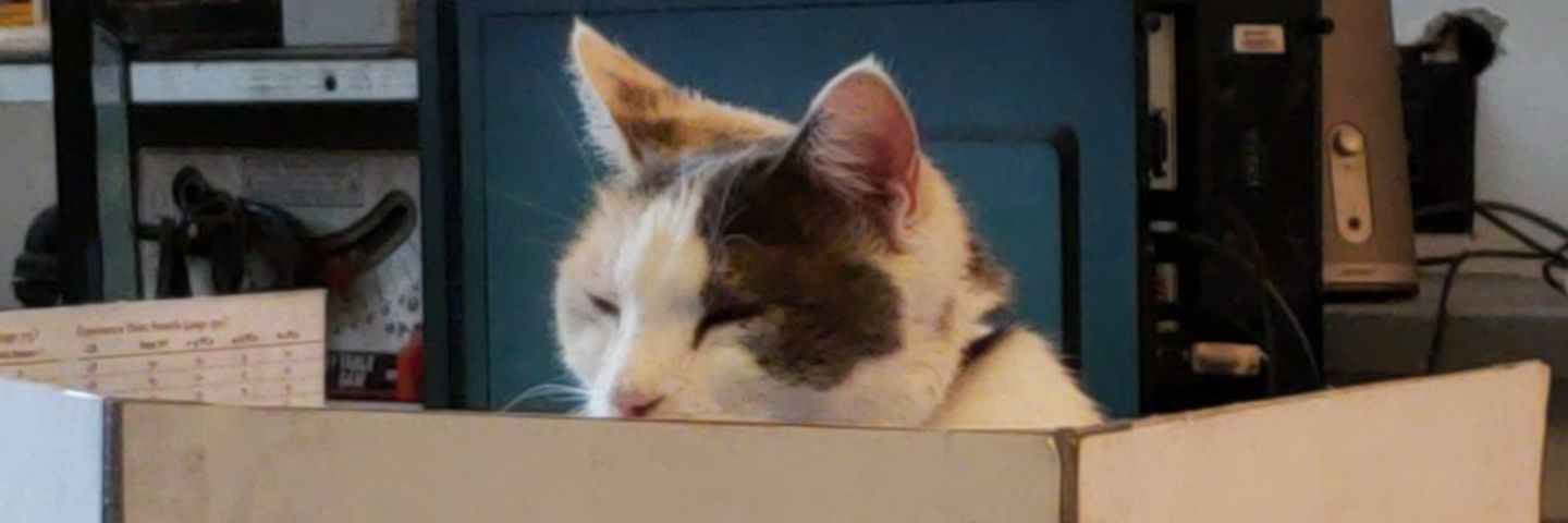 Miss_Fakey's profile banner image