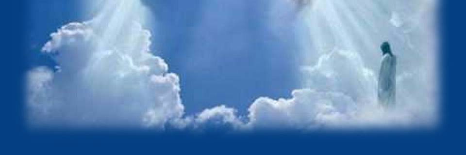 williams7_e's profile banner image