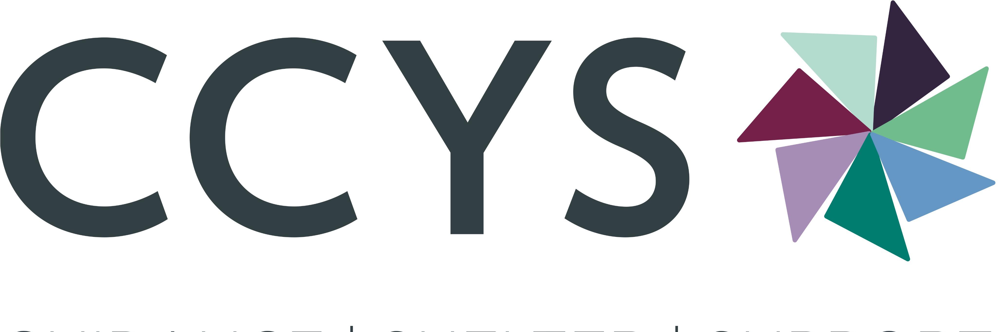 CCYS banner