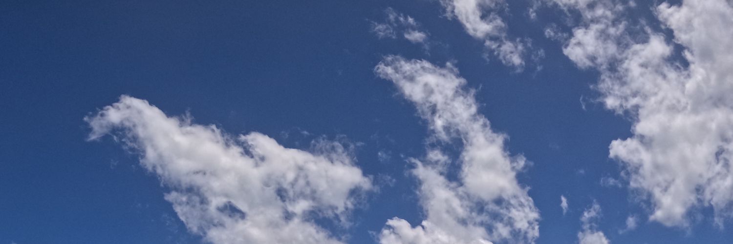 사이이커피 banner