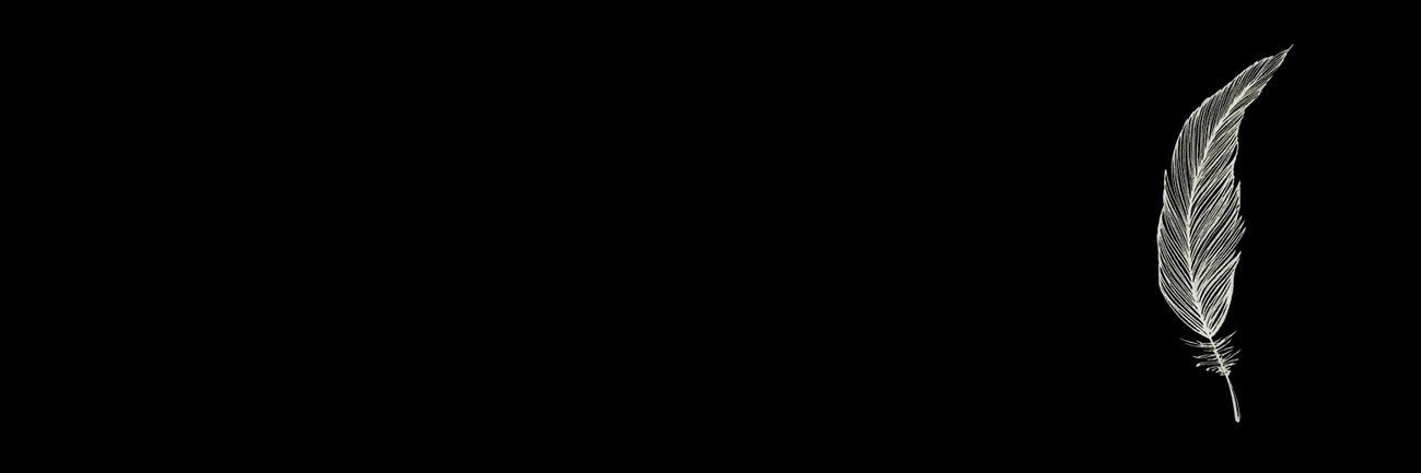 A0e5's profile banner image