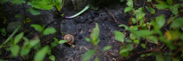 fontenelle4est Profile Banner