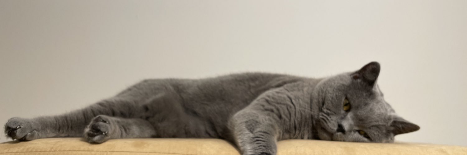 gazmason's profile banner image
