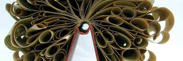 ebranchdyson Profile Banner