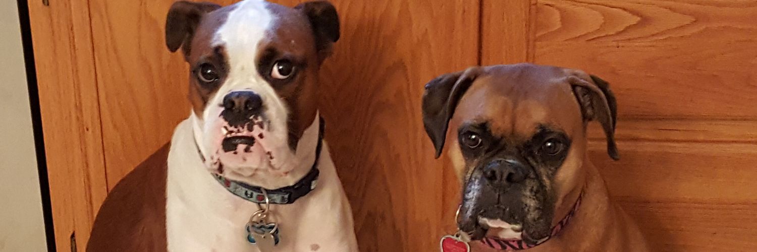 Lucky Luciano banner