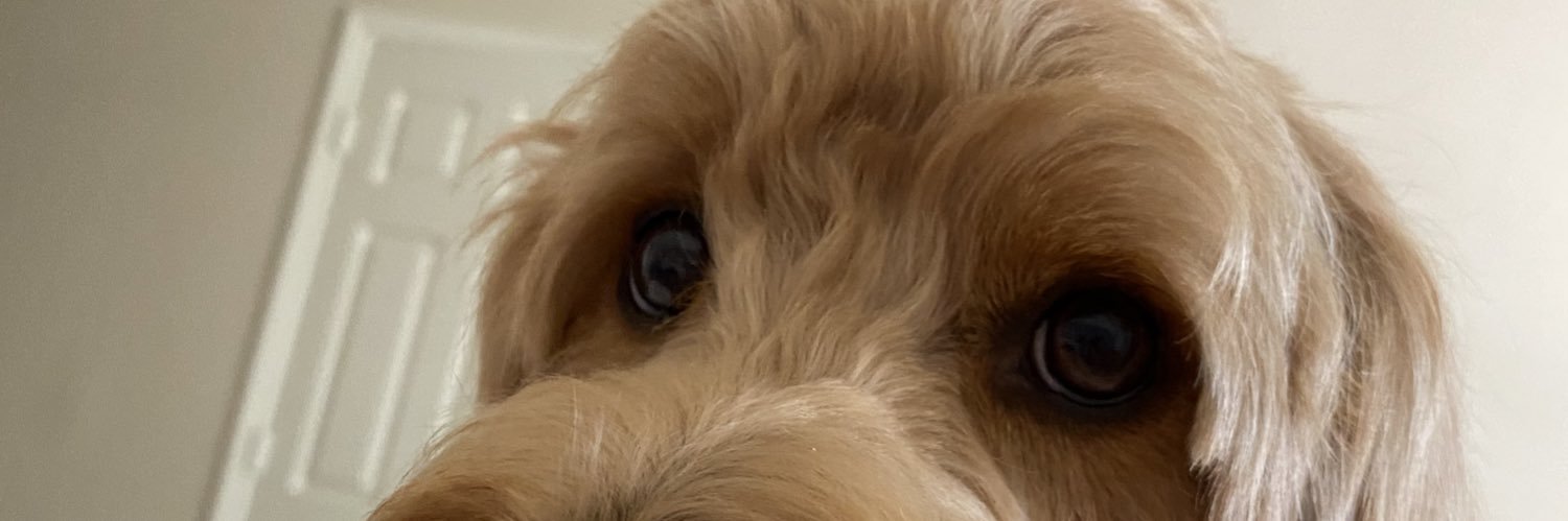 jonahgui's profile banner image