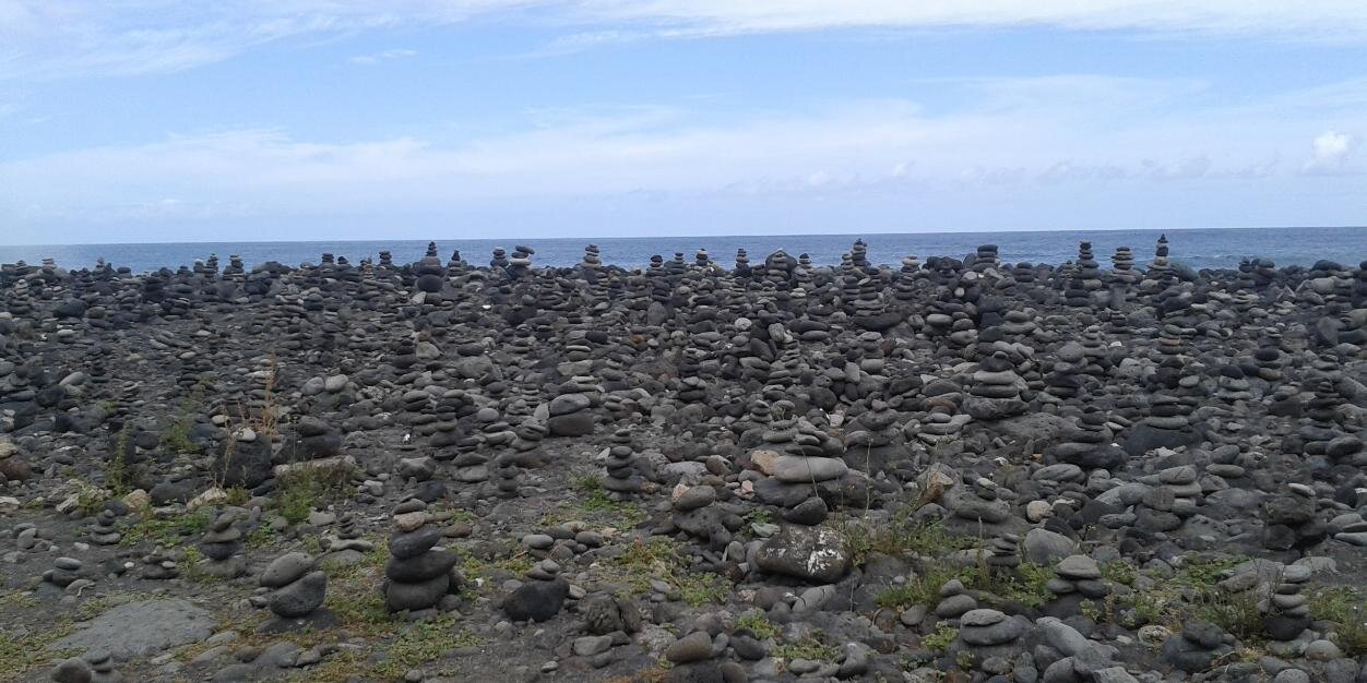 Jesús Lajara banner