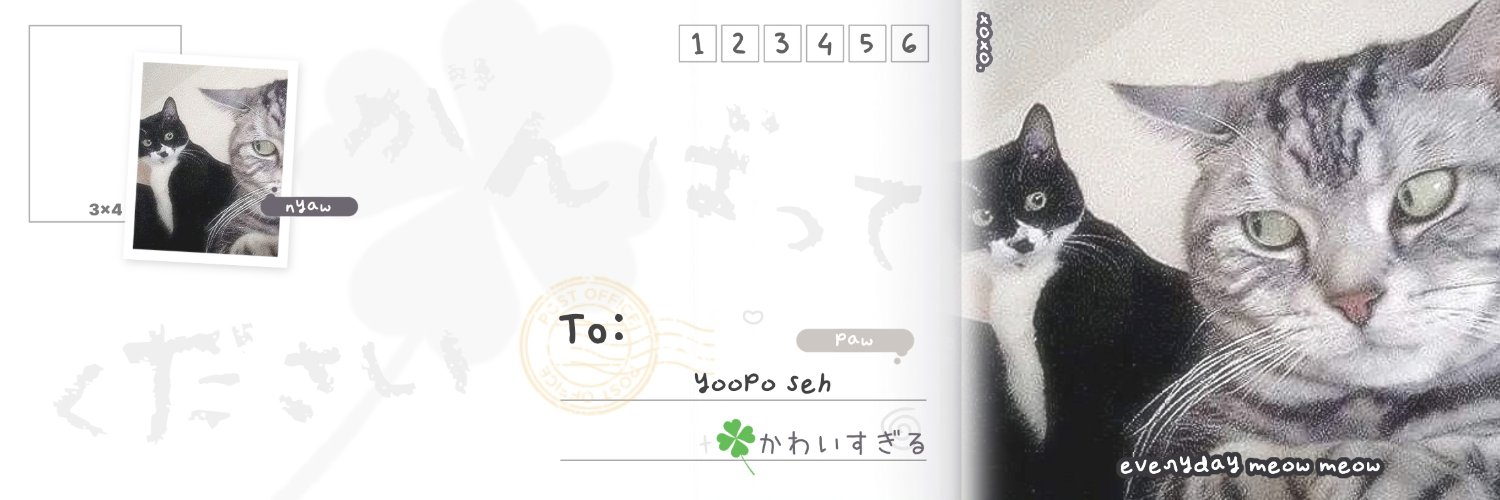 rawr! 🧸🎀 banner