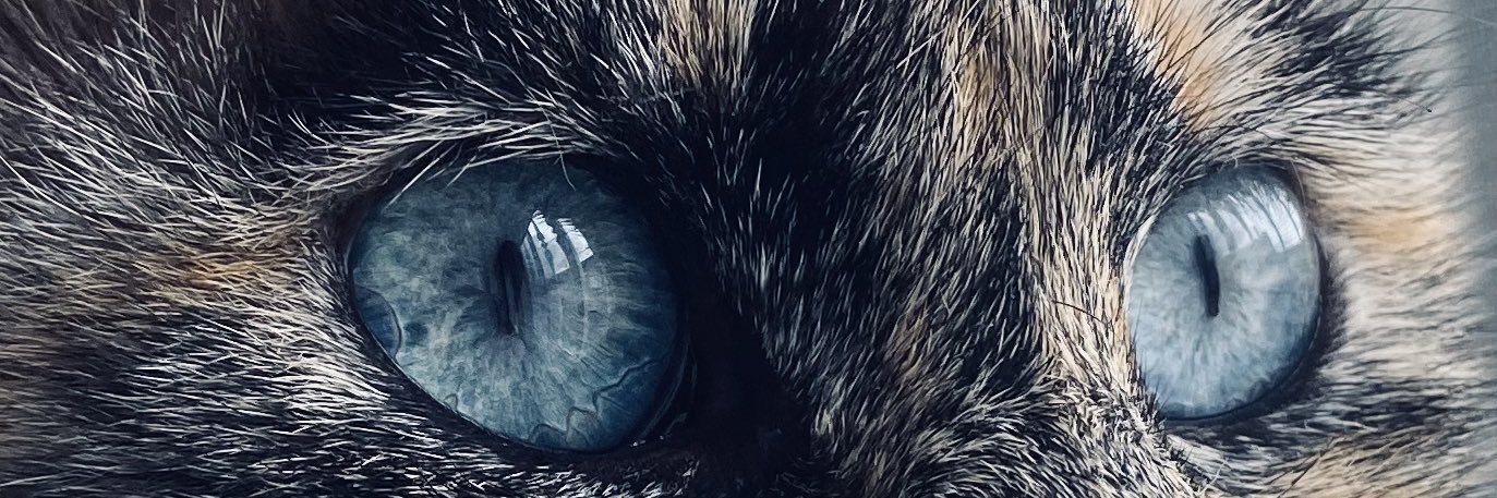 Andreajimenezlp's profile banner image