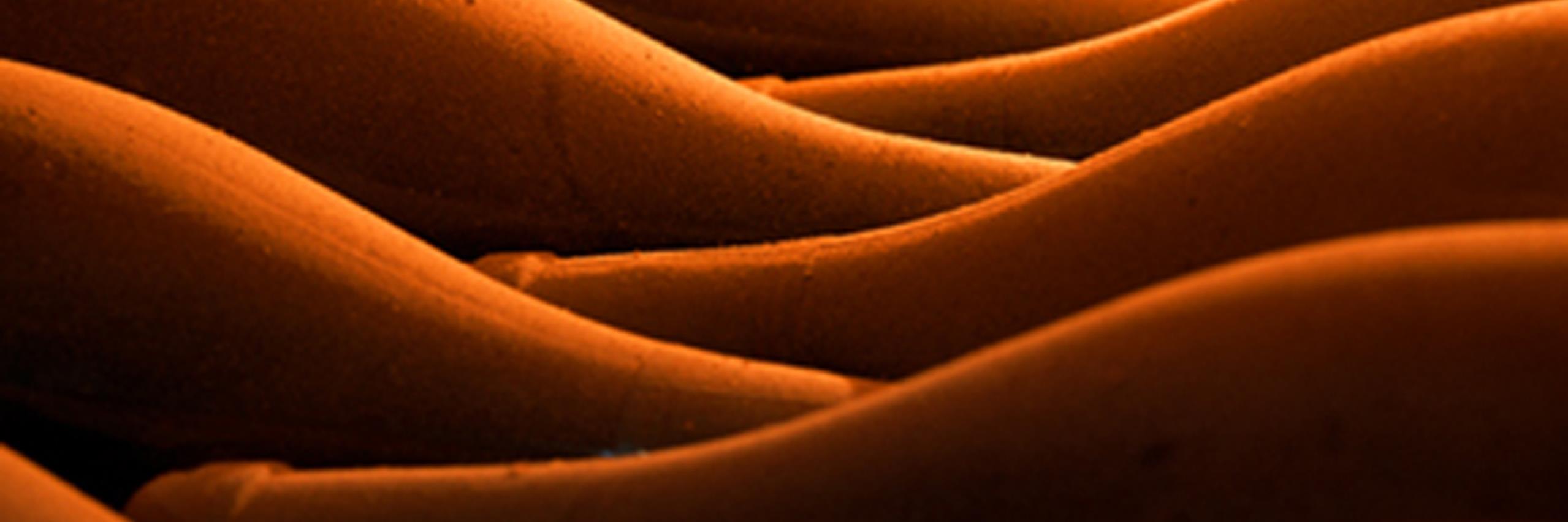 bodegasjalon's profile banner image