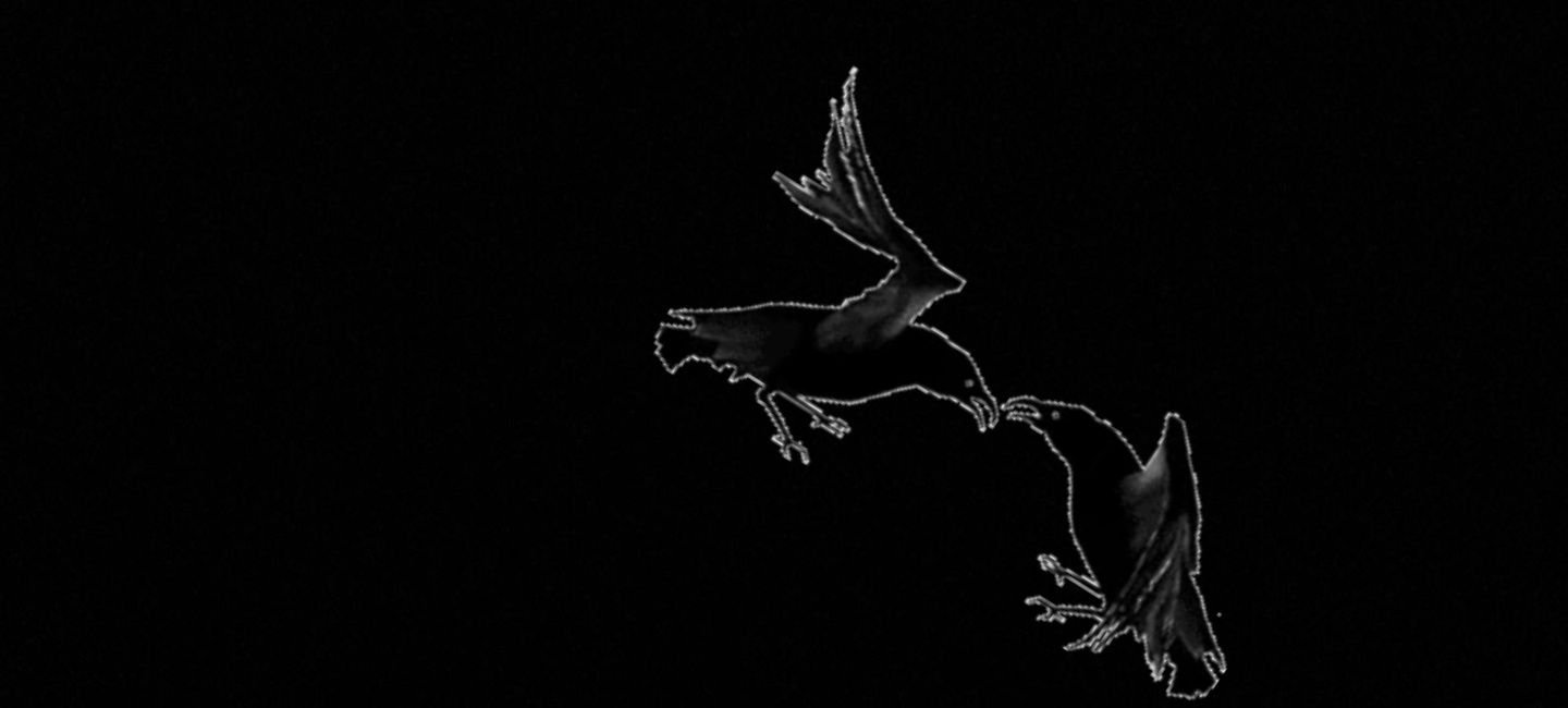 Contrxllaa's profile banner image