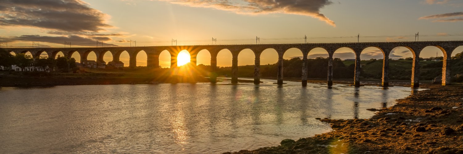 Margaret Woolley banner