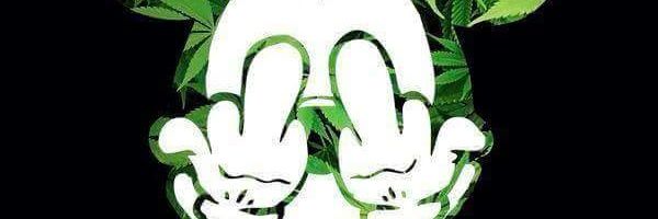 YesicaMeza9's profile banner image