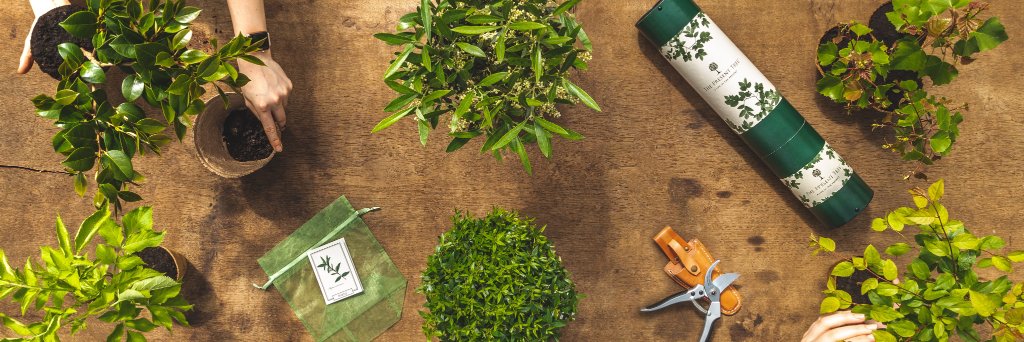 The Present Tree banner