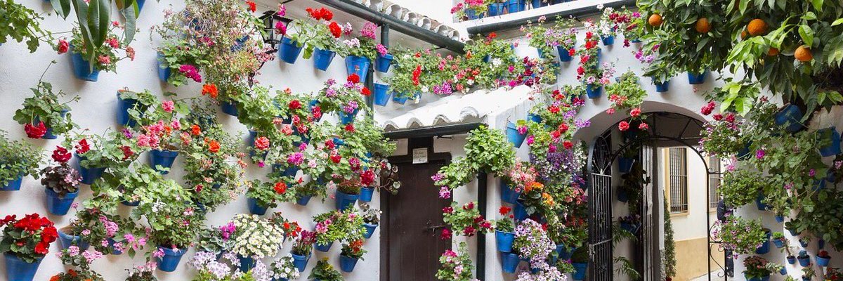 Mr Speaker المتكلم‏‎‎ ⴰⵍⵎⵓⵜⴰⴽⴰⵍⵉⵎ banner