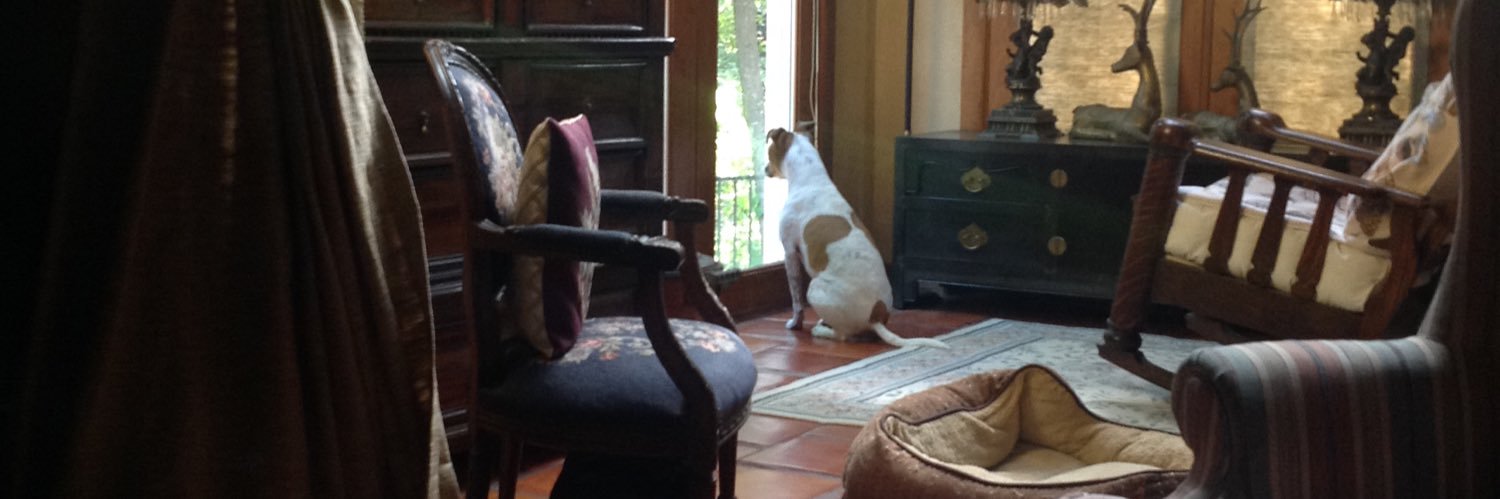 Ground Air Force 1 banner