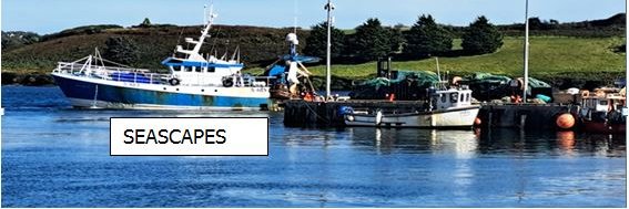 Tom MacSweeney Seascapes banner