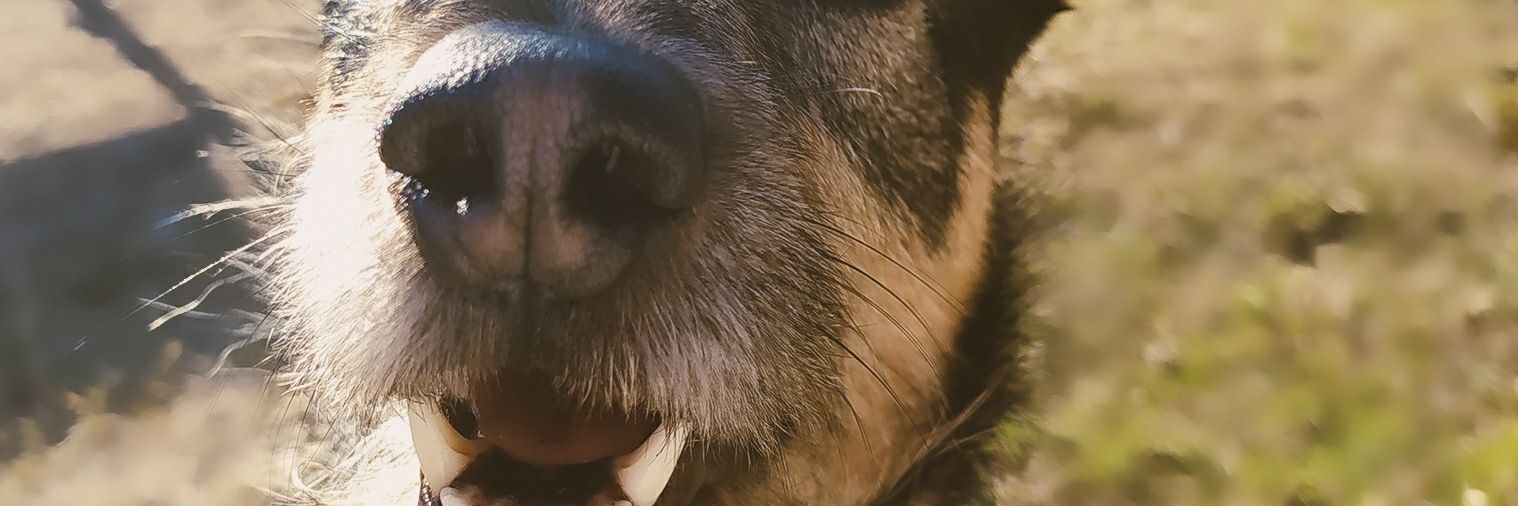 FlorenciaBe_'s profile banner image