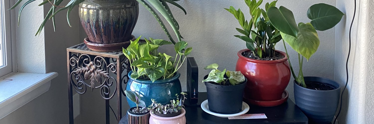 MrsCHodge's profile banner image