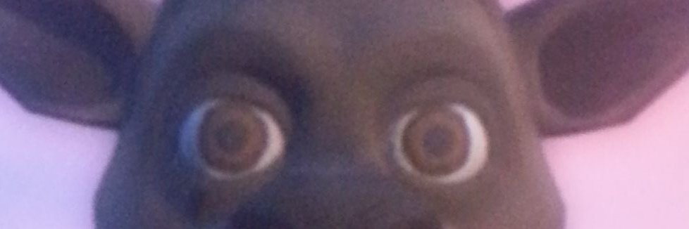 rstskhdu's profile banner image