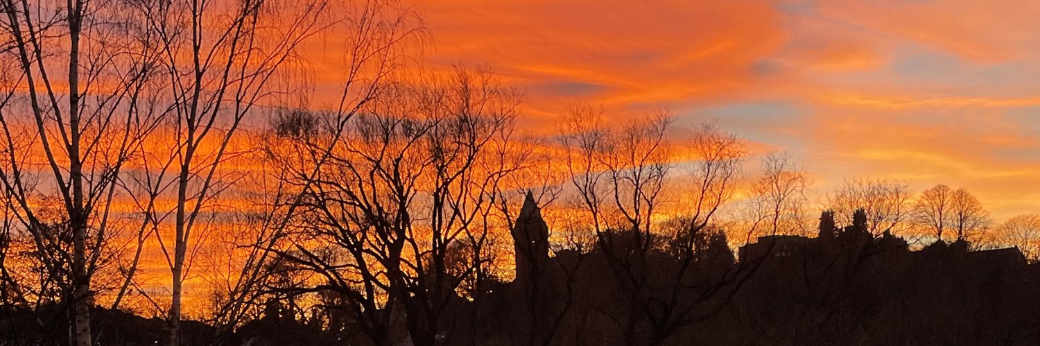 kristin anderssen banner