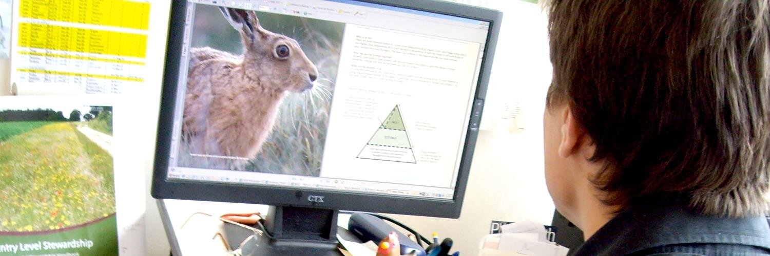 Relu Landbridge link banner