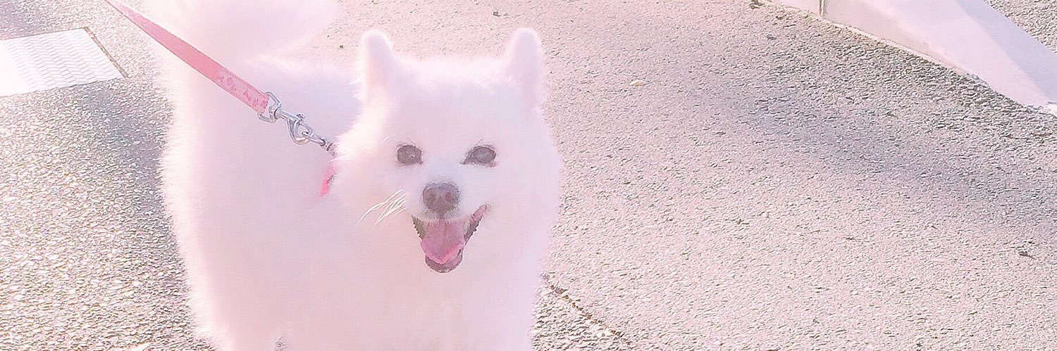 ahc00o's profile banner image