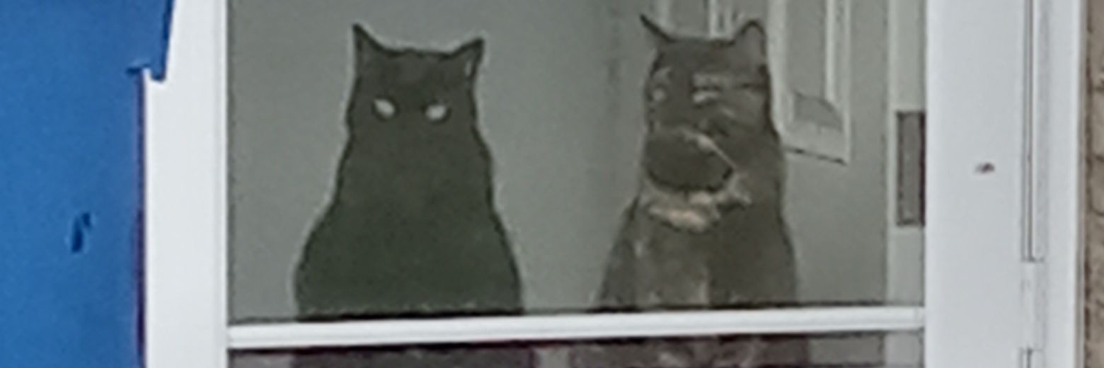 MainPanther's profile banner image