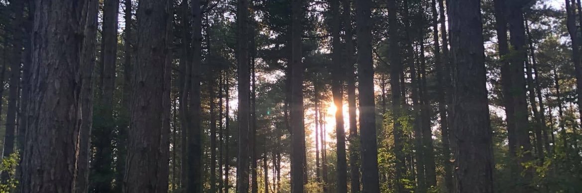KellyJLees's profile banner image