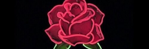 AndreaSuaarez_'s profile banner image