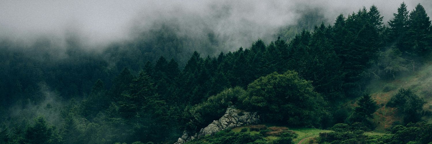 Alexaahhh's profile banner image