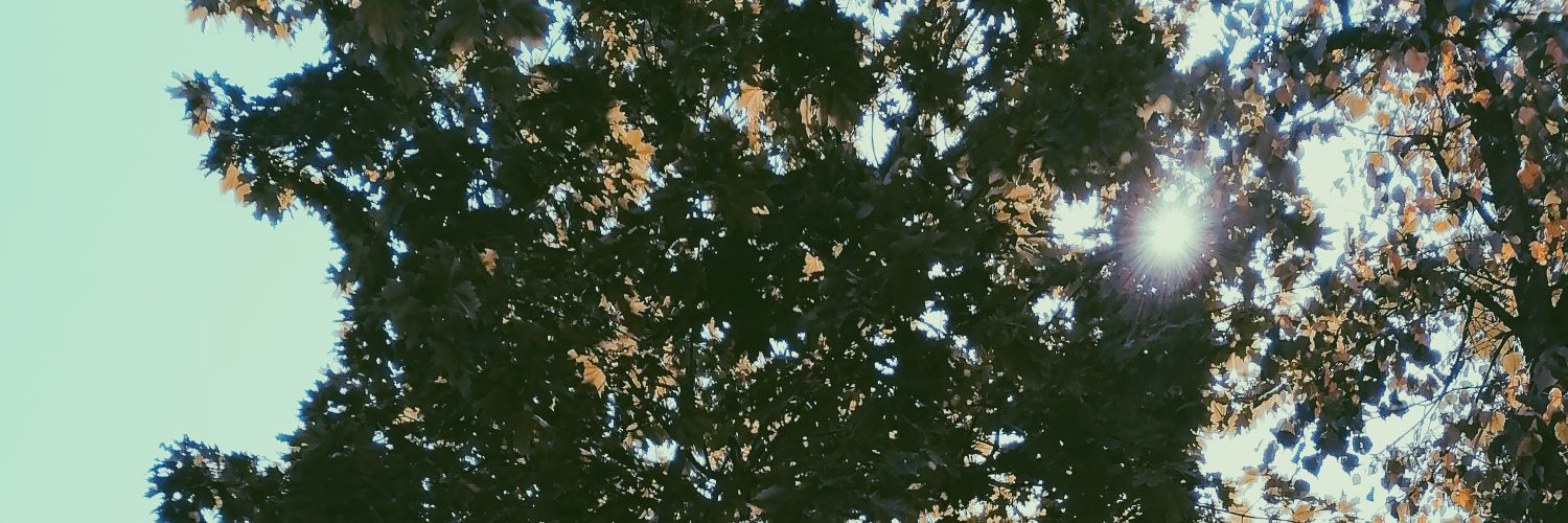 oksana9980's profile banner image