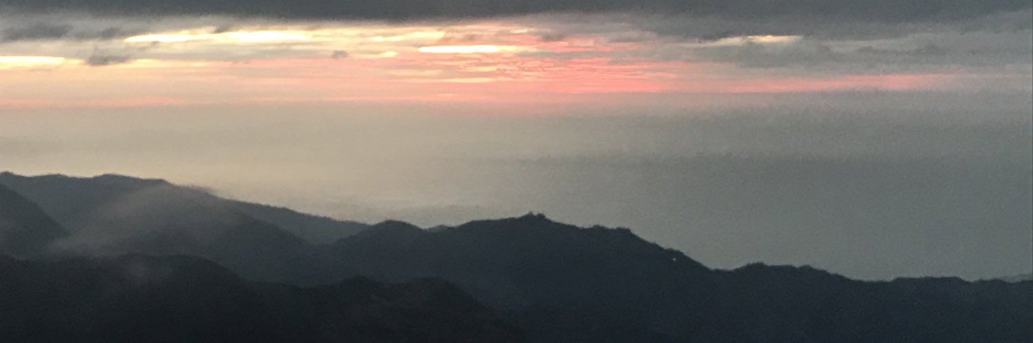 ArandaXavier16's profile banner image