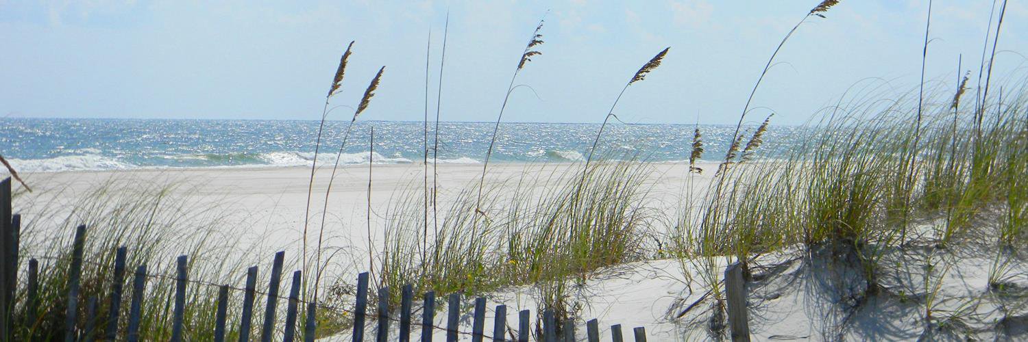 CleanIsland's profile banner image