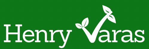 henry_varas's profile banner image