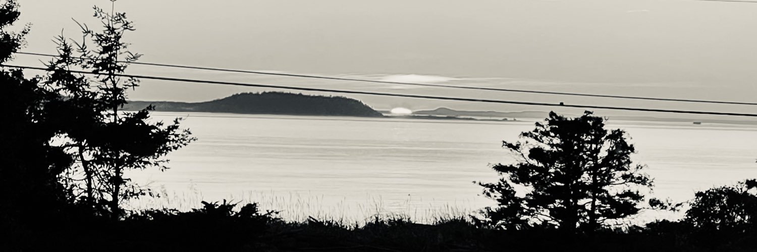 Brendan Chase's banner