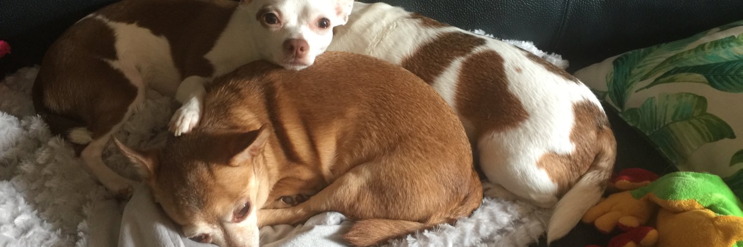 PeteDogg79's profile banner image