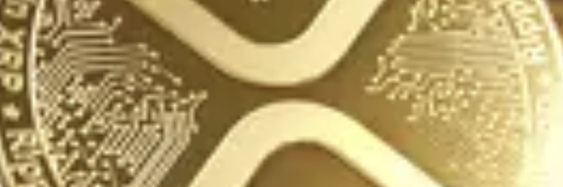 TjallingUdding's profile banner image