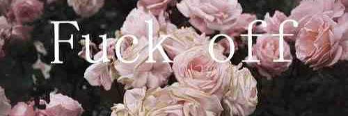 Carlaa_N21's profile banner image
