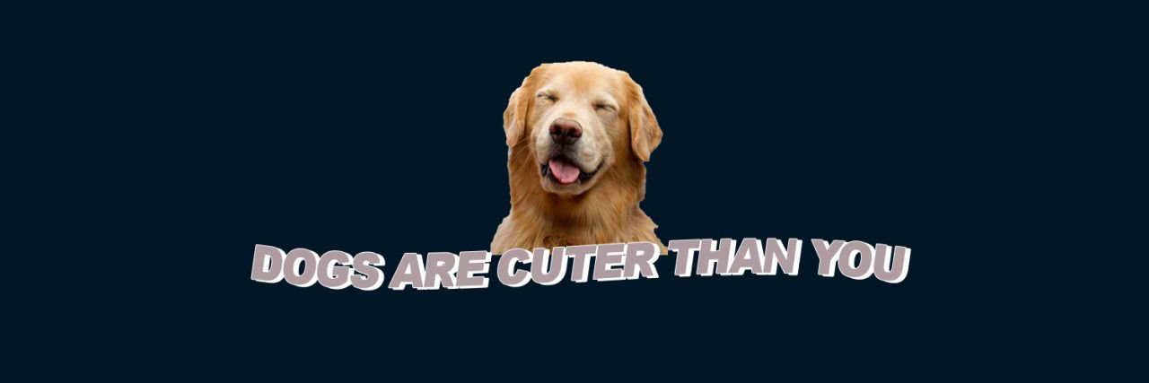 ZJQSAIL's profile banner image