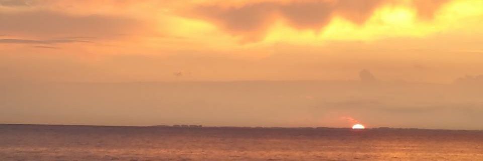 Raquel_cm2's profile banner image