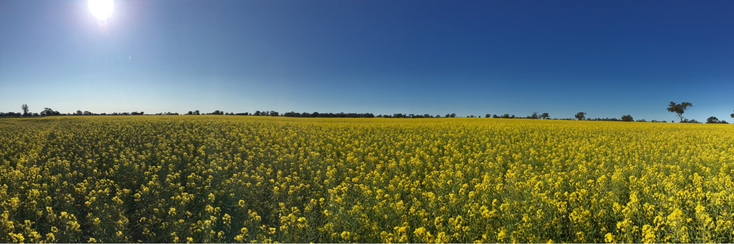 OllieGabbe's profile banner image