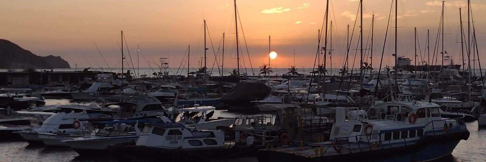 Sandra Audioloquita banner