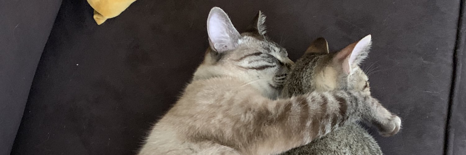 BeeAreEff's profile banner image