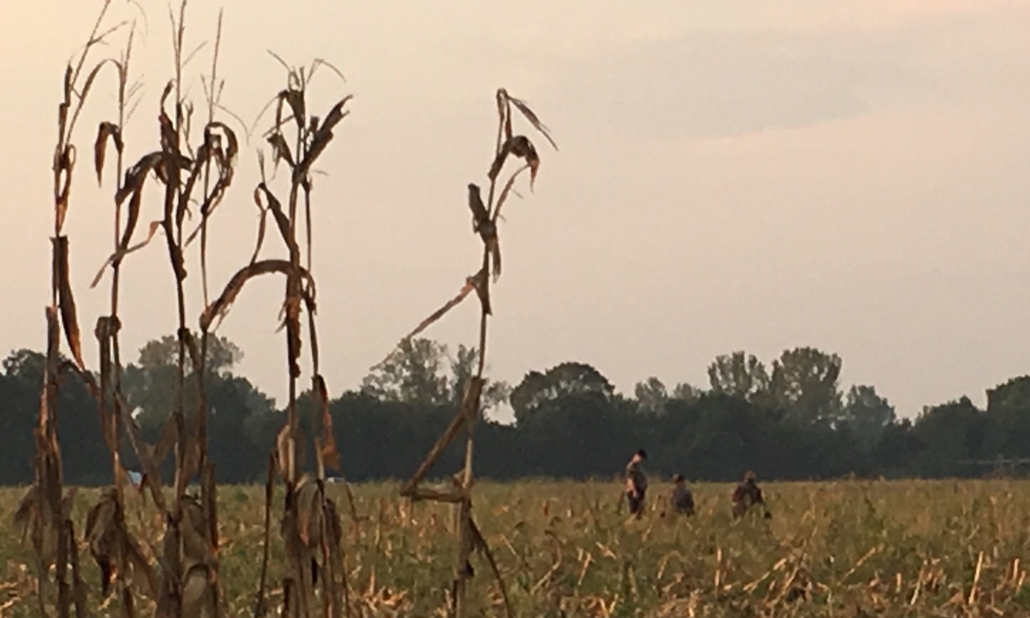ahicktiger's profile banner image
