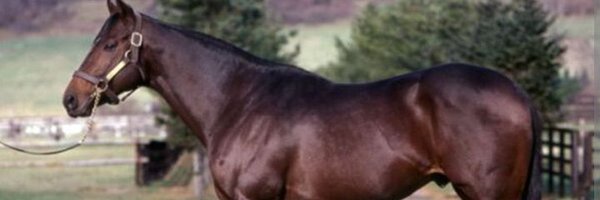 AnaBerthaCruz1 Profile Banner